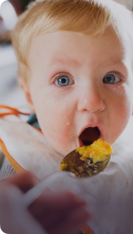 Feeding